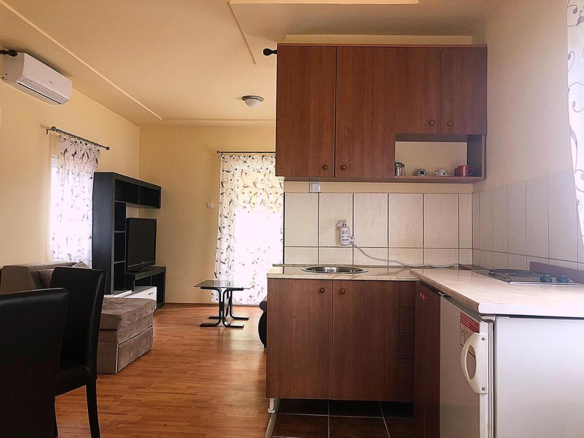 Apartman Sasa Banja Koviljača Εξωτερικό φωτογραφία