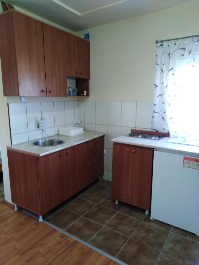 Apartman Sasa Banja Koviljača Εξωτερικό φωτογραφία