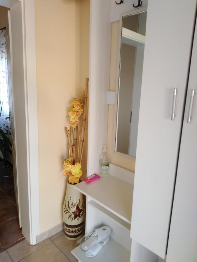 Apartman Sasa Banja Koviljača Εξωτερικό φωτογραφία
